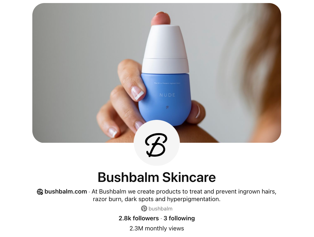 Страница профиля Pinterest для брендаushbalm