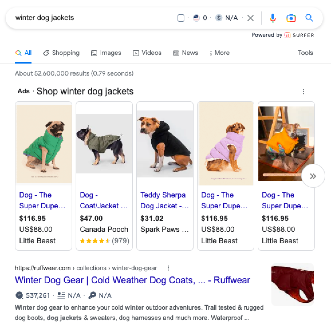Скриншот результатов поиска Google по зимним курткам для собак, показывающий, как выглядит грубая одежда, на специальной странице коллекции, ориентированной на этот поисковый запрос